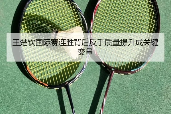 王楚钦国际赛连胜背后反手质量提升成关键变量